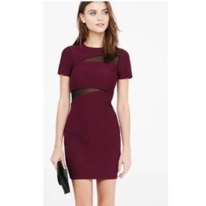 NWT Short Sleeve Bodycon Dress